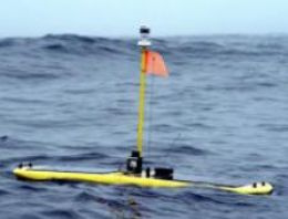 Köpekbalığı takibinde sörfçü robotlar kullanılıyor
